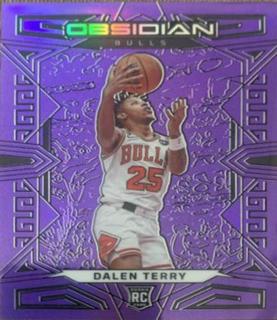 Dalen Terry