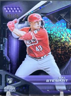 Sal Stewart