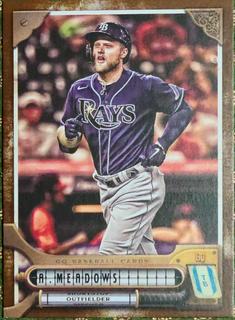 Austin Meadows