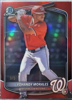 Yohandy Morales