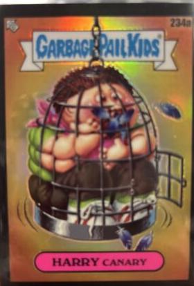 BURT Cage [Black] #234b