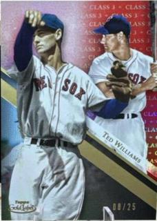 Ted Williams