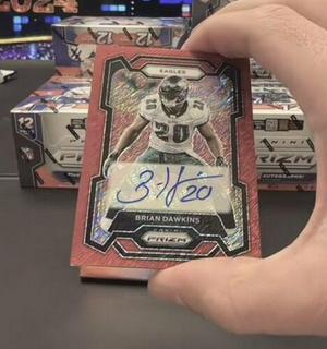 Brian Dawkins