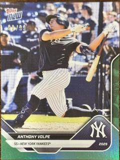 Anthony Volpe