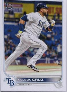 Nelson Cruz
