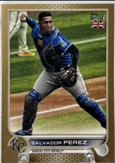 Salvador Perez