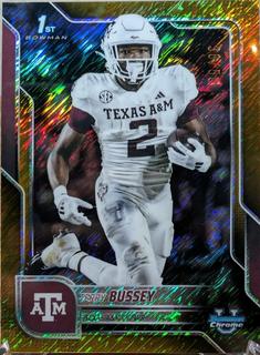 Terry Bussey