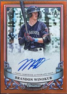 Brandon Winokur