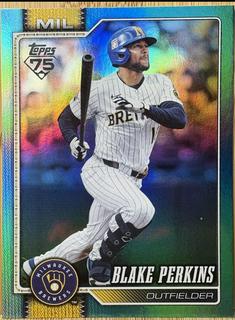 Blake Perkins