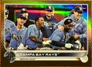 Tampa Bay Rays