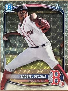 Sadbiel Delzine