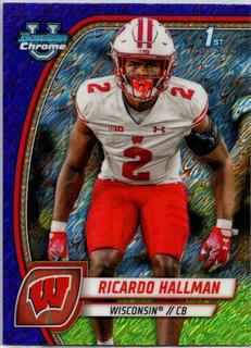 Ricardo Hallman