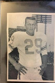 Del Shofner