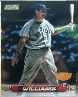 Ted Williams