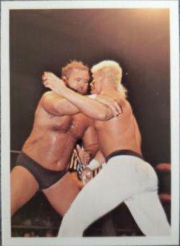 Arn Anderson #231 Wrestling Cards 1988 Wonderama NWA