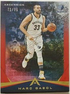 Marc Gasol