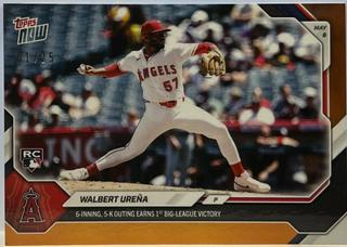 Walbert Urena