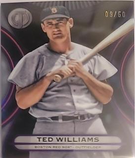 Ted Williams