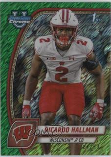 Ricardo Hallman
