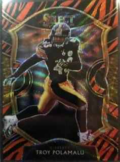 Troy Polamalu