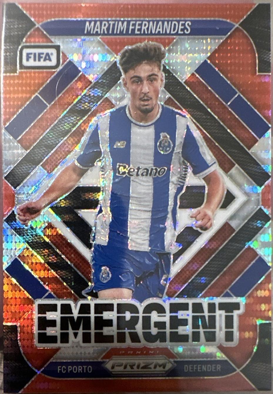 Martim Fernandes