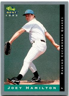 Joey Hamilton