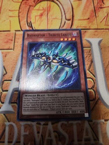 Raidraptor - Tribute Lanius OP24-EN018 YuGiOh OTS Tournament Pack 24