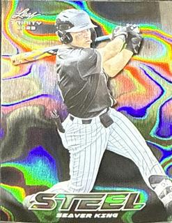 Seaver King
