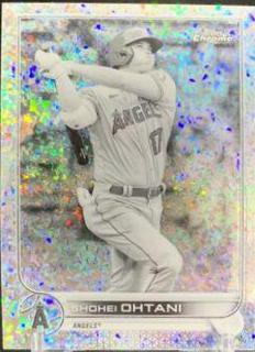 Shohei Ohtani