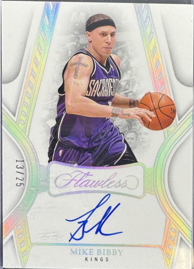 Mike Bibby