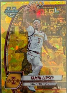 Tamin Lipsey