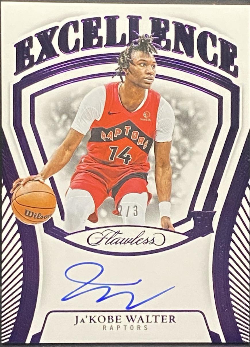 Ja'Kobe Walter [Amethyst] #15