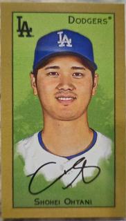 Shohei Ohtani