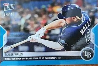 Taylor Walls