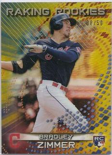 Bradley Zimmer