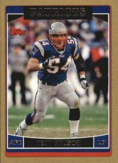 Tedy Bruschi