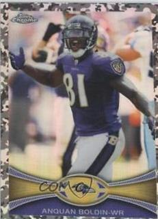 Anquan Boldin