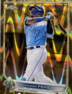 Salvador Perez