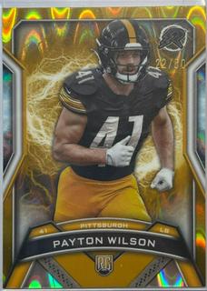 Payton Wilson