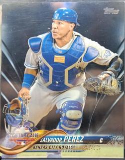 Salvador Perez
