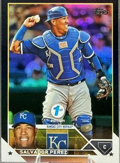 Salvador Perez