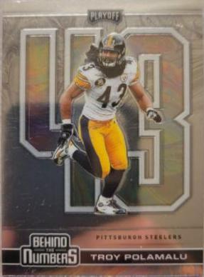 Troy Polamalu #BTN-10 Football Cards 2020 Panini Playoff Behind the Numbers