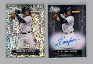 Roberto Campos