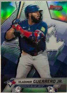 Vladimir Guerrero Jr.