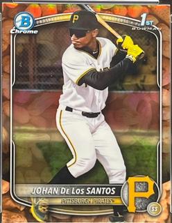 Johan De Los Santos