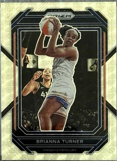 Brianna Turner