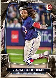Vladimir Guerrero Jr.