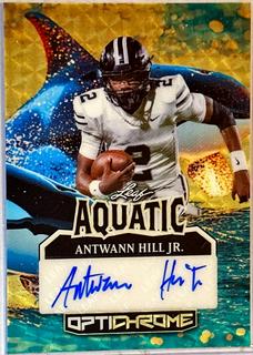 Antwann Hill Jr.