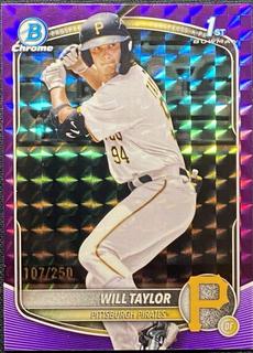 Will Taylor