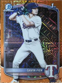 Gavin Fien